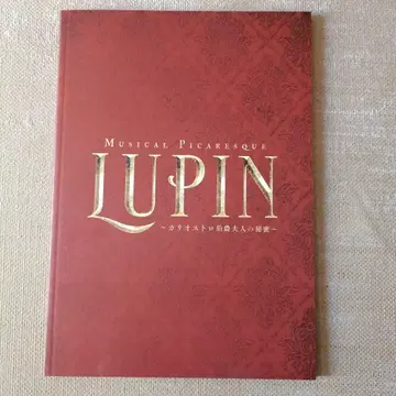 LUPIN 팜플렛
