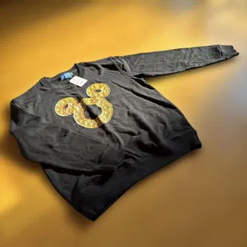 도쿄 디즈니 리조트 맨투맨 L 사이즈