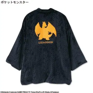 아베일 포켓몬 리자몽 한텐