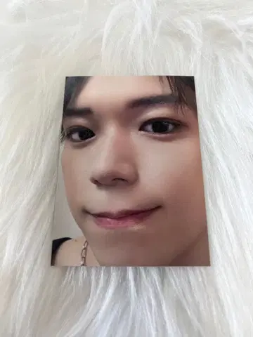 카노 요시마사 포토 카드 시크릿