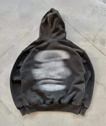 바이오 워시 백 프린트 후디 Y2K 후드티 속기모