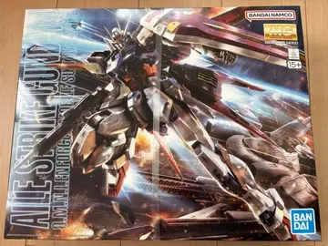 MG 에일 스트라이크 건담 Ver.RM