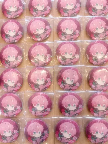 테루토군 캔뱃지 24개