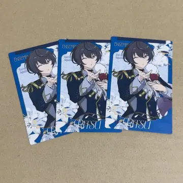 앙스타 스타포니 카드 린츠