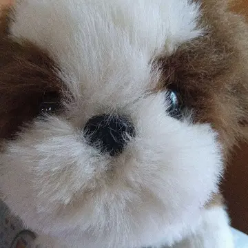 강아지 모양 봉제 인형 화이트 브라운