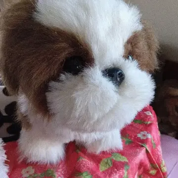 강아지 봉제 인형 화이트 브라운