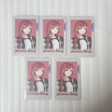 GRAY ACCENT 랜덤 폴라로이드풍 카드 니지산지 사오토메 베리 5점