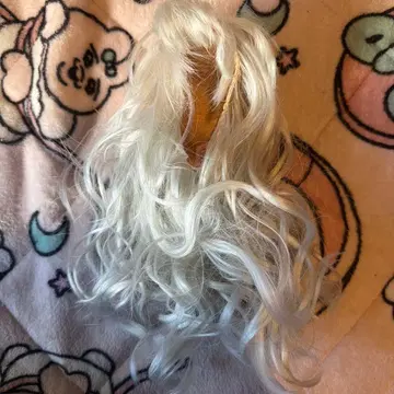 SWITCH SD 사이즈 가발 실버