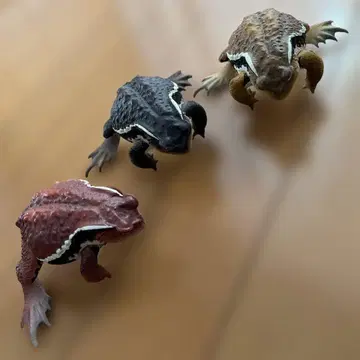 커다란 두꺼비 3마리