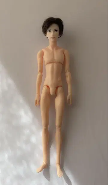 6분의 1 남자 도감 에이트 본체만