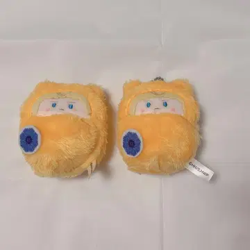 헤타리아 독일 싸개 타피누이