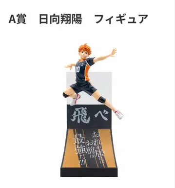 하이큐!! 히나타 쇼요 피규어