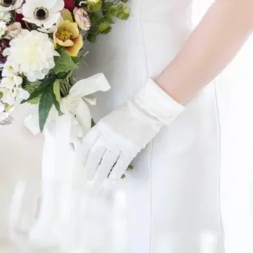 새틴 숏 그로브