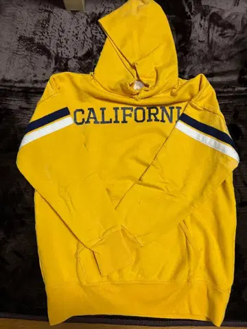 JACKSON MATISSE CALIFORNIA 후드티