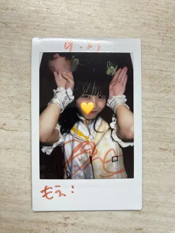 사인 포함 컬러풀 폴라로이드 사진