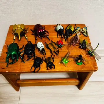 리얼 곤충 피규어 세트 15체 이상