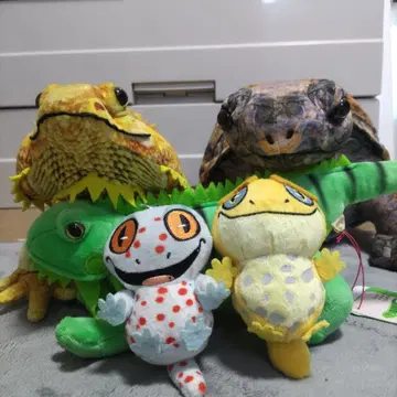 파충류 봉제 인형 5세트