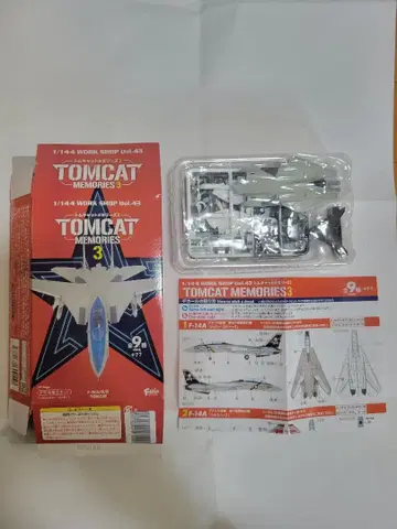 톰캣 메모리즈 3 F-14A 졸리 로저스