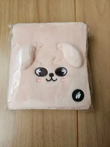 StrayKids 승민 사진 카드 케이스