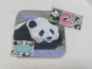 어드벤처 월드 카에데하마 미니 타월 스티커