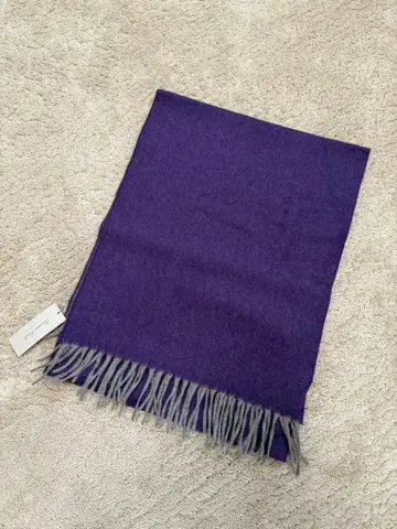 Cesare Gatti 캐시미어 머플러 보라색