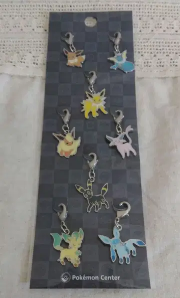 포켓몬 전국도감 메탈참 부스터즈