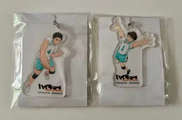 하이큐 오이카와 이와이즈미 하이드리