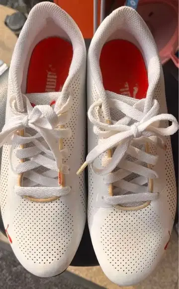 PUMA 푸마 x 페라리 드리프트 캣