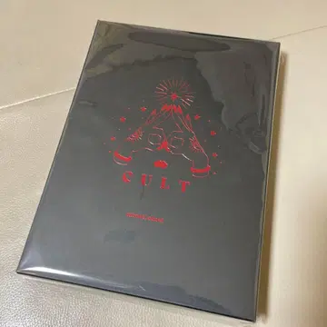 미사용 새상품 be my baby! Cherry 체리 ZINE BOX