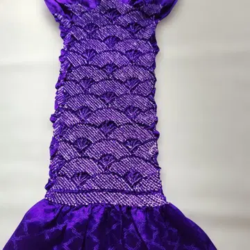 부채 무늬 허리띠