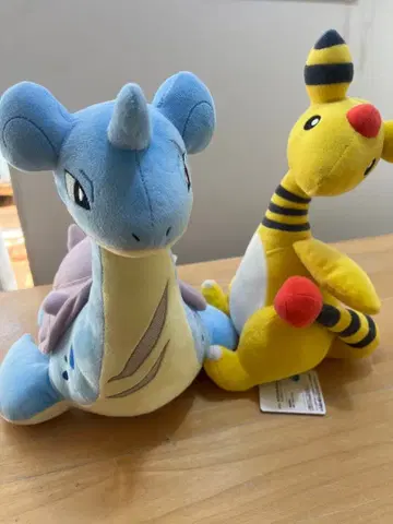 모후굿 라프라스 전룡 택 포함 미사용