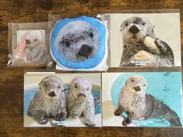 도바 수족관 메이 복권 에코백 5종 세트