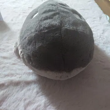 포켓몬 센터 포켓몬 도오