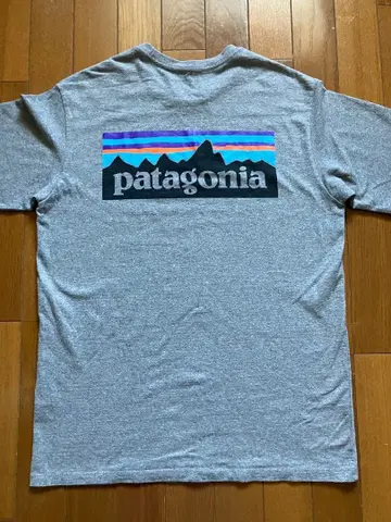 Patagonia 남성용 T셔츠 S