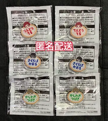 아이돌 마스터 SideM 이름표 배지 드라마틱 스타즈 6점