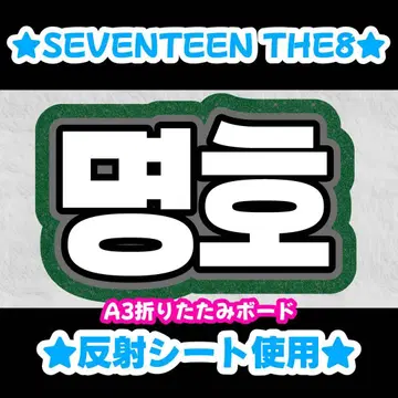 SEVENTEEN THE8 민규 네임보드