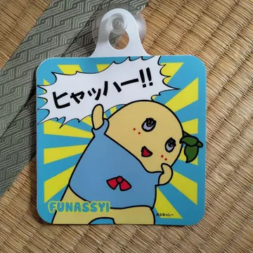 후낫시 카사인 3