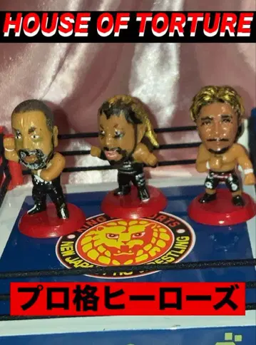 프로 격투 히어로즈 HOUSE OF TORTURE