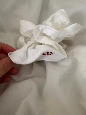 lulu를 위한 edit 스크런치