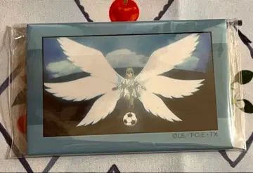 이나즈마 일레븐 필살기 장면 사진 스퀘어 캔뱃지 아프로디