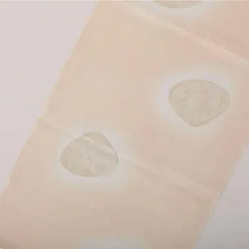 와타케 겐 오비 장식 천 조개