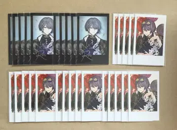 니지산지 Dytica 2주년 폴라로이드 코야나기 로우