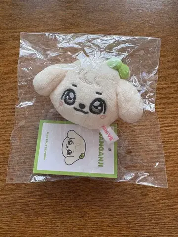 IVE MINIVE PARK 유진 페이스 키링 강안지