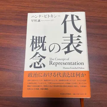 피트킨 대표의 개념