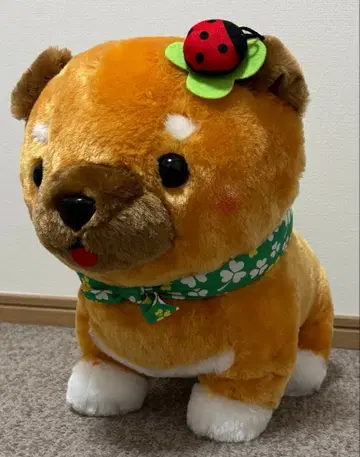 콩 시바 삼형제 해피 클로버 울트라 BIG