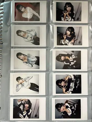 지메이 여명상어 와나 란체키