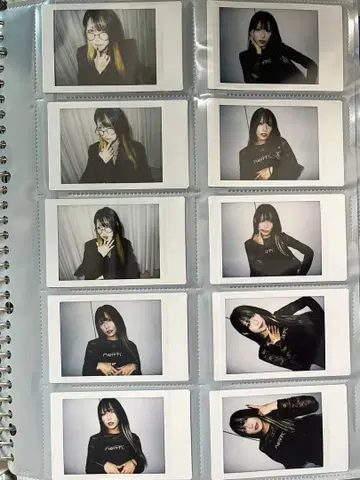 지메이 여명 상어 와나 폴라로이드