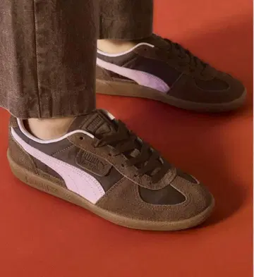 Puma 팔레르모 모모치하루 시시쿠이 23.5 새상품급