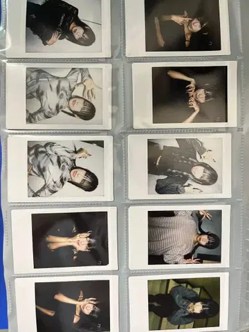 지메이 여명 상어 와나 폴라로이드