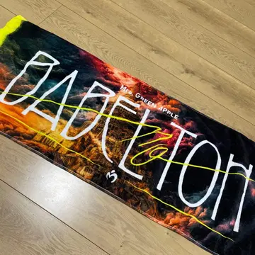 Mr. GREEN APPLE 타월